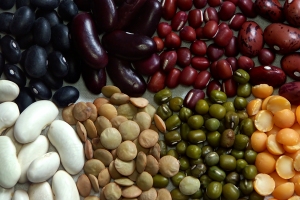 Close-up of piles of assorted dried beans beside each other.
