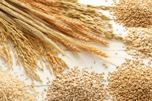 Various dried grain kernels and ears of various grains.